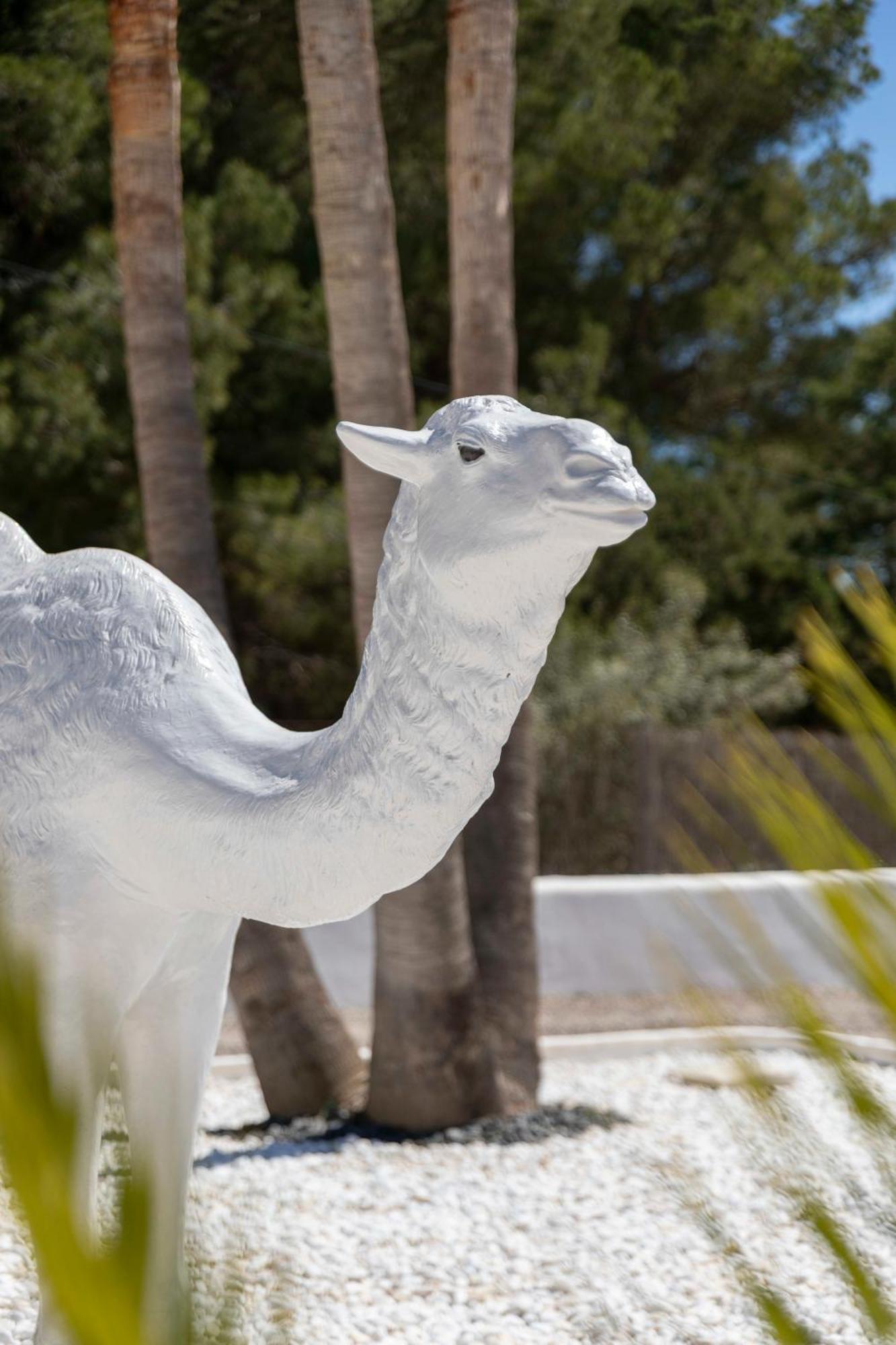 Villa Nivaria Sant Jordi de ses Salines Exteriör bild